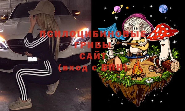 дурь Арсеньев
