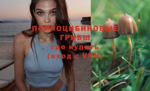 стафф Армянск