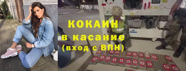 мяу мяу мука Елабуга